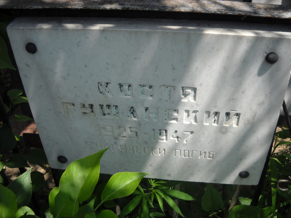 Гушанский Костя , Саратов, Еврейское кладбище